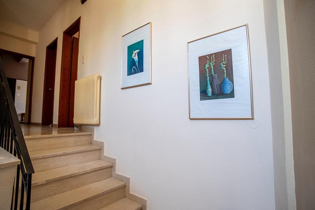 Koukonas Hotel Galaxidi Bagian luar foto