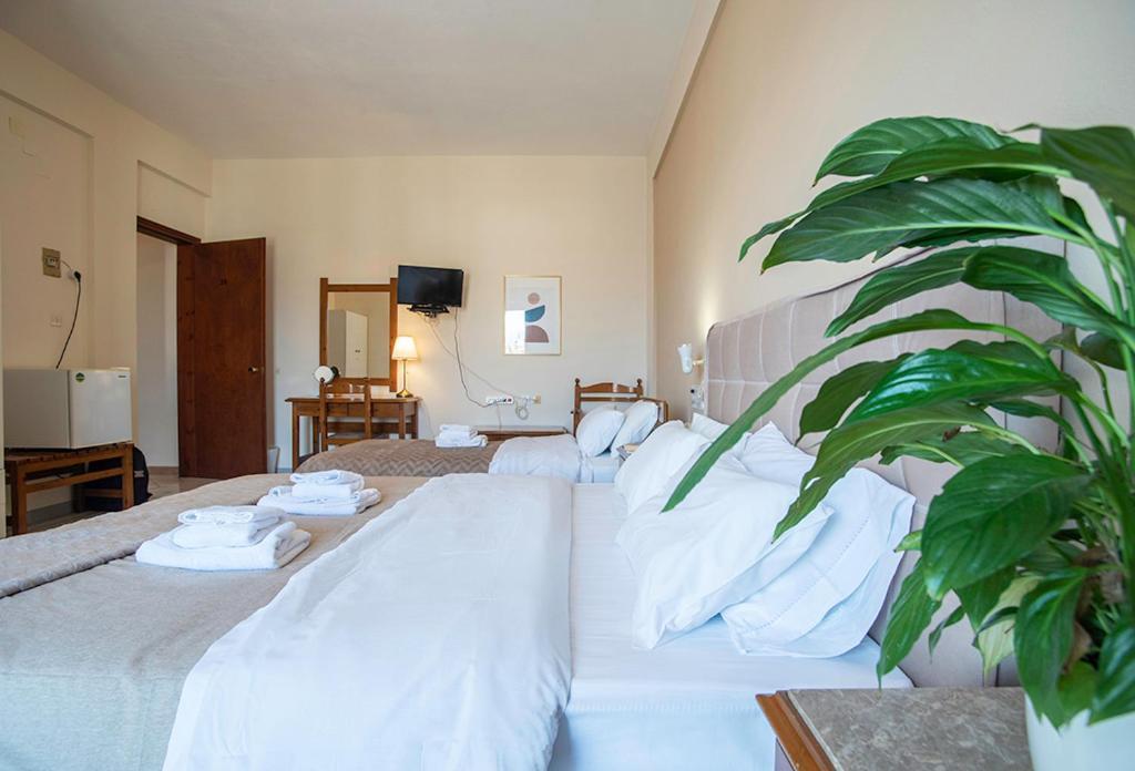 Koukonas Hotel Galaxidi Bagian luar foto